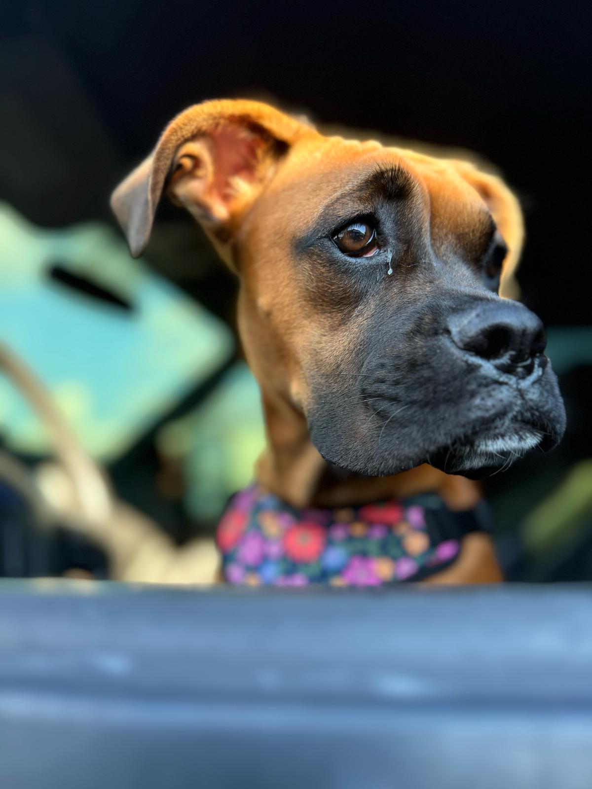 About Lakewood Candle Company