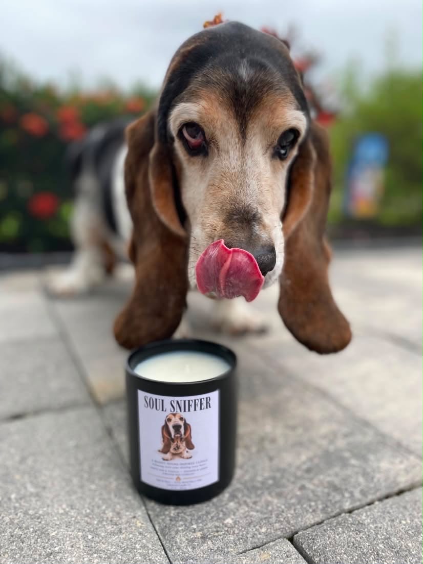 Soul Sniffer – Basset Hound Inspired Candle | Coconut Soy Wax – 12oz