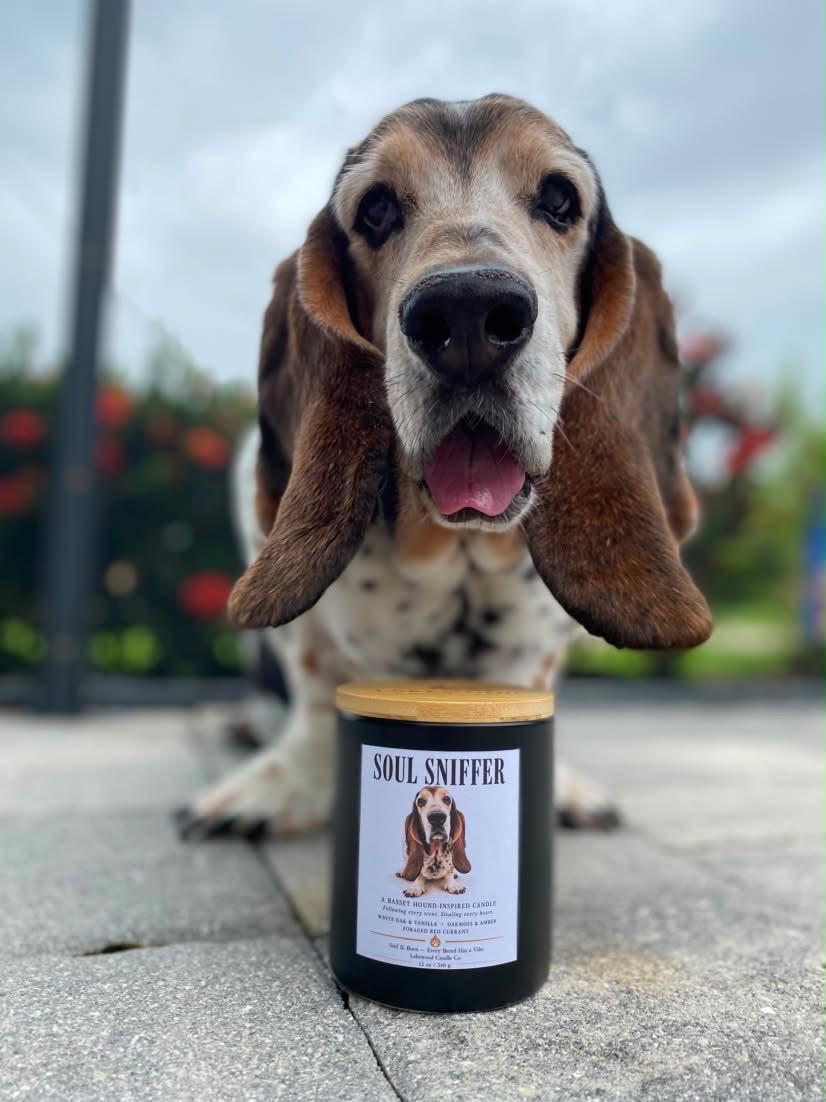 Soul Sniffer – Basset Hound Inspired Candle | Coconut Soy Wax – 12oz