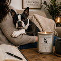 No Chill All Cling – Boston Terrier Inspired Candle | Coconut Soy Wax – 12oz