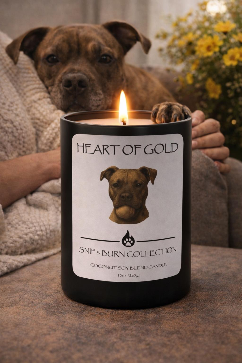 Heart of Gold – Pitbull Inspired Candle with Smoked Oud, Egyptian Amber, and A Touch of Clove | Coconut Sox Wax – 12oz
