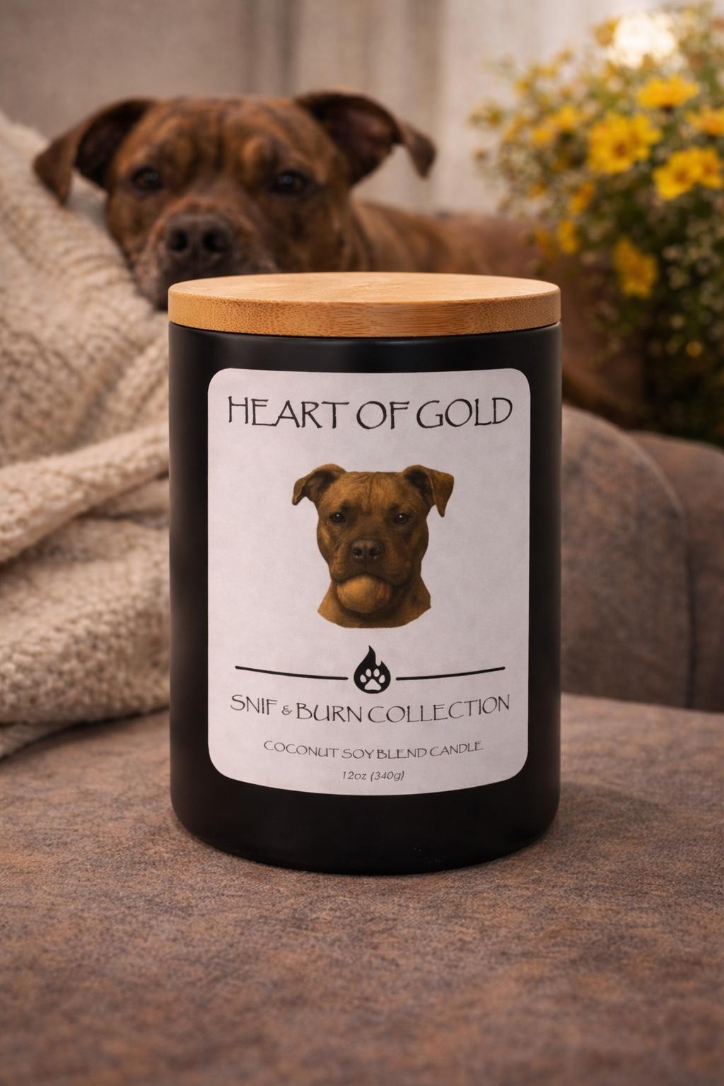 Heart of Gold – Pitbull Inspired Candle with Smoked Oud, Egyptian Amber, and A Touch of Clove | Coconut Sox Wax – 12oz