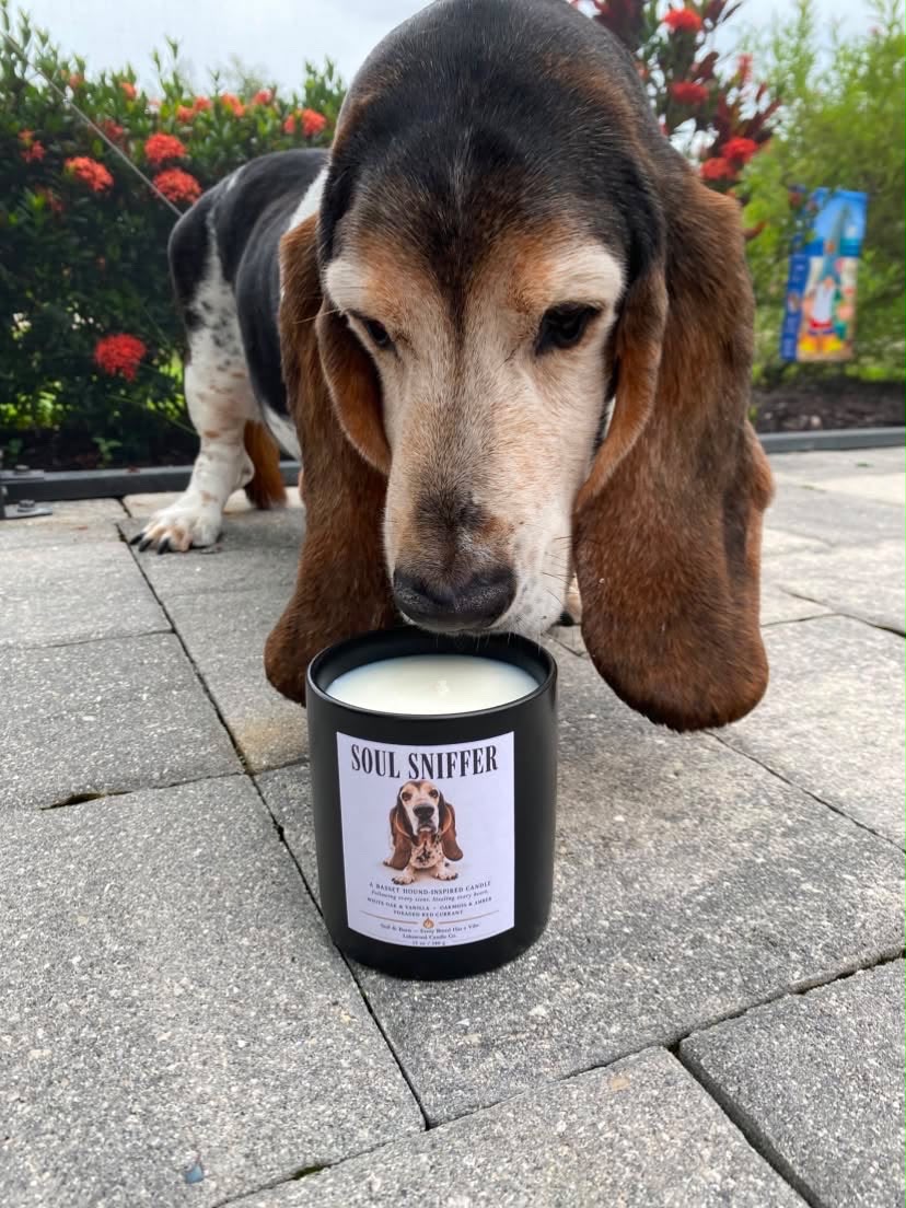 Soul Sniffer – Basset Hound Inspired Candle | Coconut Soy Wax – 12oz