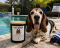 Soul Sniffer – Basset Hound Inspired Candle | Coconut Soy Wax – 12oz